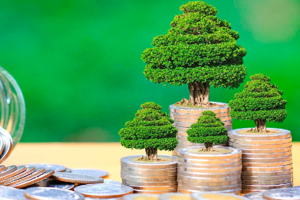 Arquitectura normativa de los bonos verdes en Ecuador